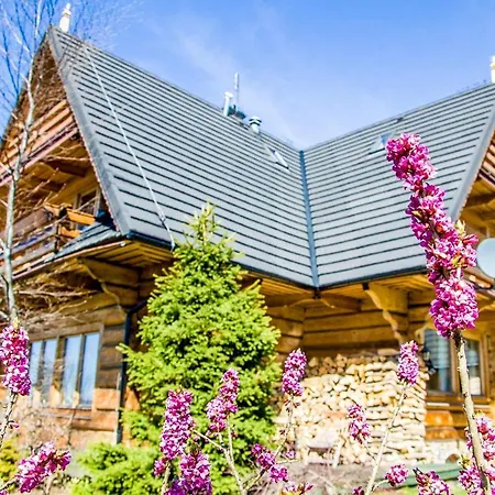 Koisowka 3* Zakopane