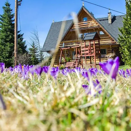 Koisowka Oda ve Kahvaltı Zakopane