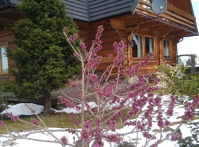 Koisowka Bed & Breakfast 3*